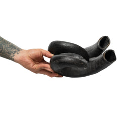 Water Buffalo Horn Dog Chews-2 Count-15 oz (WSP)