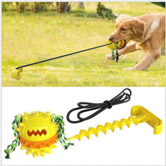 Dog Teething Bite Resistantacrylic bird feeder