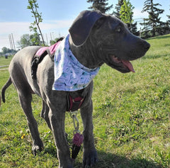 BANDANA - LEAF