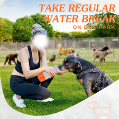 28 oz Portable Dog Water Bottle with One-Hand Dispenser — Orange