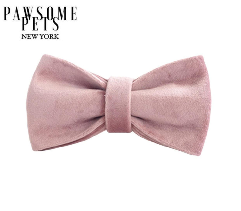 BOWTIE - FLORENCE