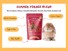 4-Pack Bunny Forage Mix Treat Collection Variety Pack