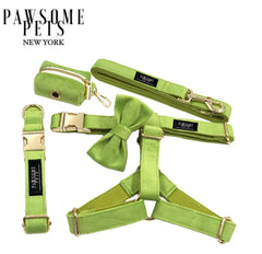 STEP IN BUNDLE - GREEN (5 PIECES)
