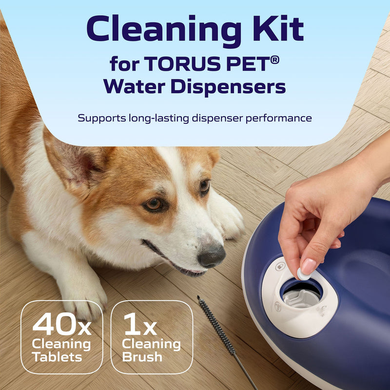 Cleaning Kit
