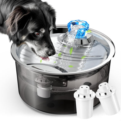 2.6 Gallon Automatic Pet Water Fountain for Dogs & Cats