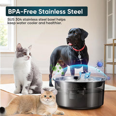 2.6 Gallon Automatic Pet Water Fountain for Dogs & Cats