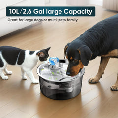 2.6 Gallon Automatic Pet Water Fountain for Dogs & Cats